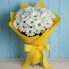 Букет цветов из:  Хризантемы в Гвазде
