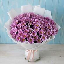 Букет цветов из:  Хризантемы #REPLACE_PRED# Гвазде