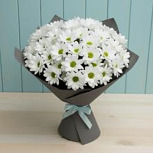 Букет цветов из:  Хризантемы в Гвазде