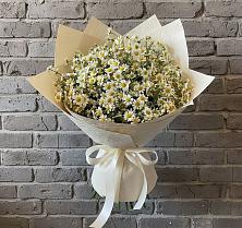 Букет цветов из:  Ромашки в Гвазде