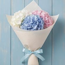 Букет цветов из:  Гортензия в Гвазде