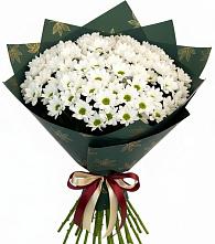 Букет цветов из:  Хризантемы в Гвазде