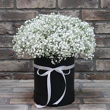 Цветочная композиция из Гипсофила в шляпной коробке в Гвазде