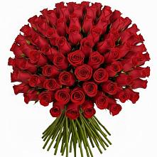 Букет Красные розы Чери Лав в Гвазде